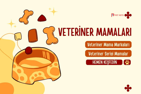 Veteriner Mamaları Hangileri? Veteriner Serisi Mamalar
