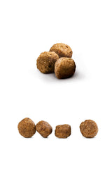 Happy Dog Fit & Vital Mini Irk Yetişkin Köpek Kuru Maması 4 kg