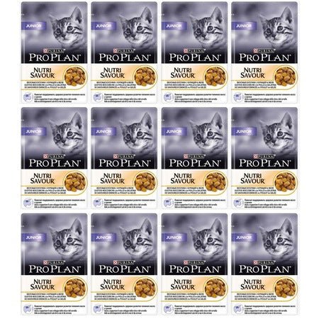 Pro Plan Tavuklu Yavru Kedi Yaş Maması 12 X 85 gr - Pet Keys