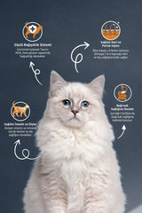 Reflex Somonlu ve Hamsili Yetişkin Kedi Kuru Maması 2 kg (Yeni)