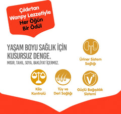 Wanpy Tahılsız Somonlu ve Ton Balıklı Kısırlaştırılmış Yetişkin Kedi Kuru Maması 1,5 kg