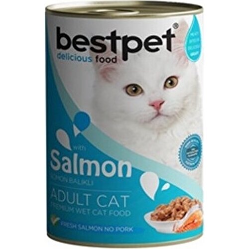 BestPet Kedi Somon Balıklı Gravy Soslu 400 gr