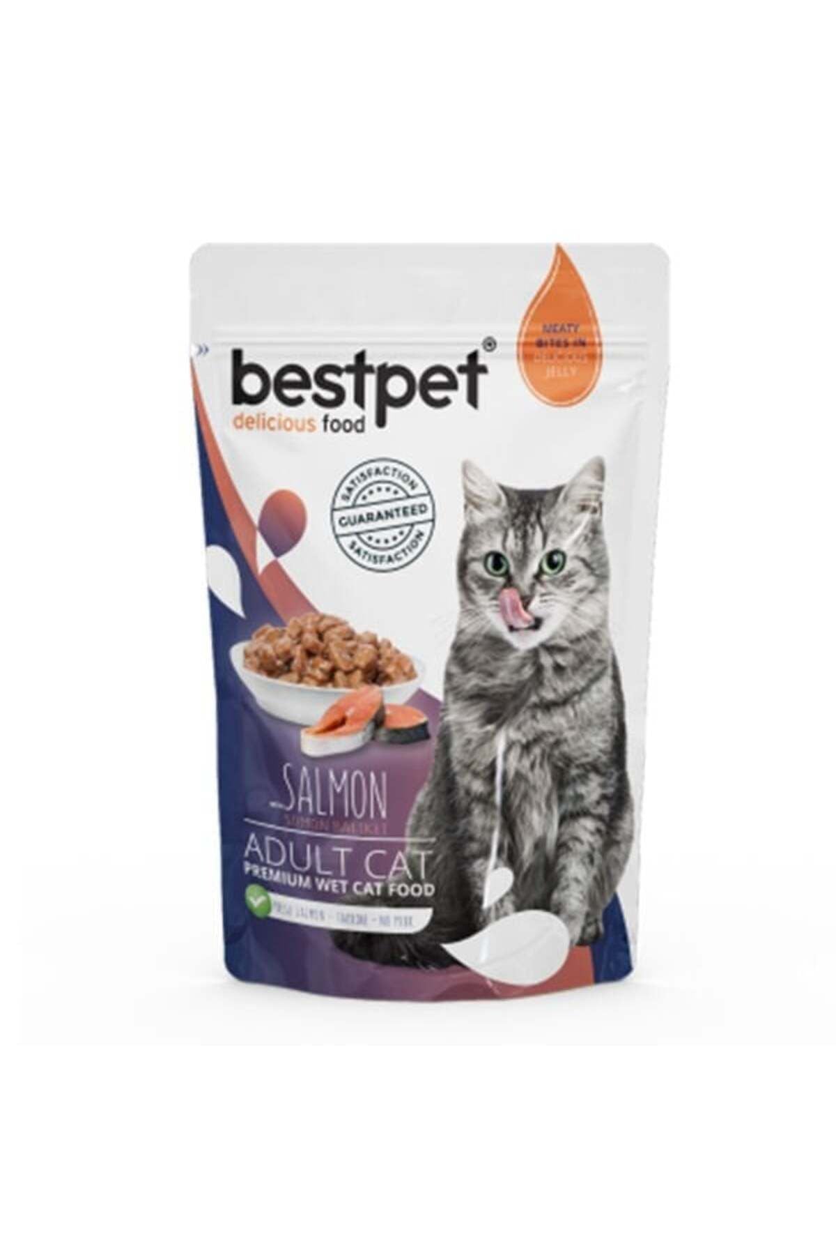 BestPet Somonlu Yetişkin Kedi Konserve Yaş Maması 85 gr