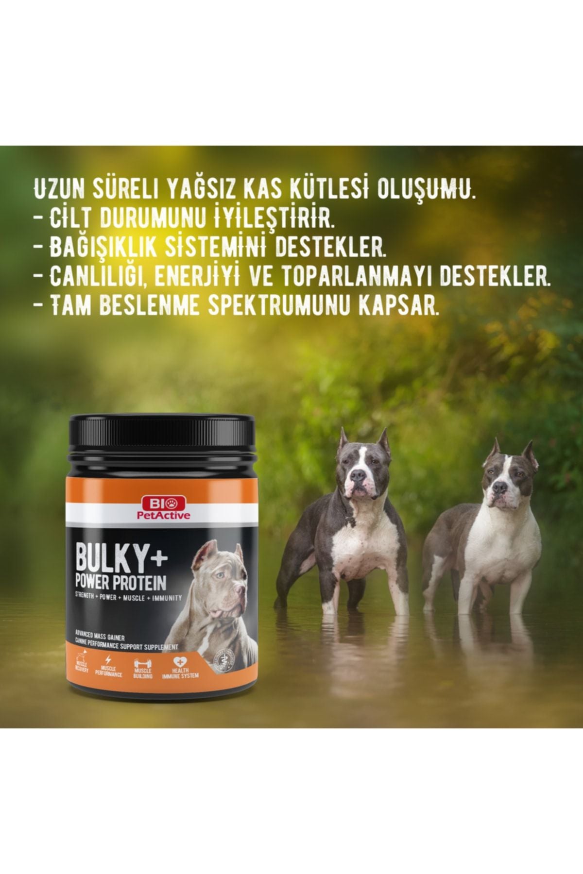 Bio Petactive Bulky Power Kas Güçlendirici Köpek Protein Tozu 368 gr