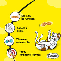 Dreamies Peynirli Kedi Ödül Maması 6X60 gr