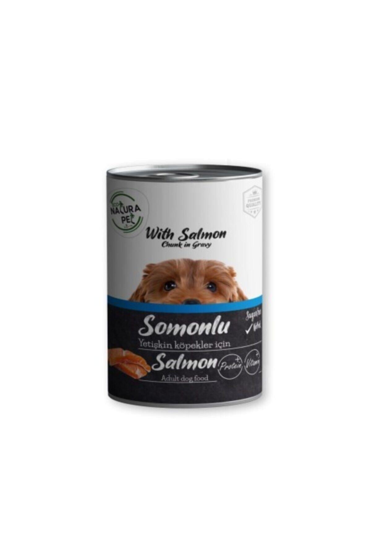 Eco Natura Pet Somonlu Yetişkin Köpek Konservesi Gravy 400 gr