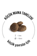 Happy Dog Kuzulu Sensible Mini Neuseeland Yetişkin Köpek Kuru Maması 4 kg (Yeni)