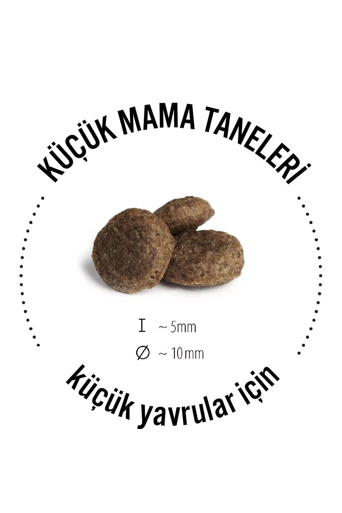 Happy Dog Mini Irland Somonlu Hassas Yetişkin Köpek Kuru Maması 4 kg (Yeni)