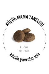 Happy Dog Mini Irland Somonlu Hassas Yetişkin Köpek Kuru Maması 4 kg (Yeni)