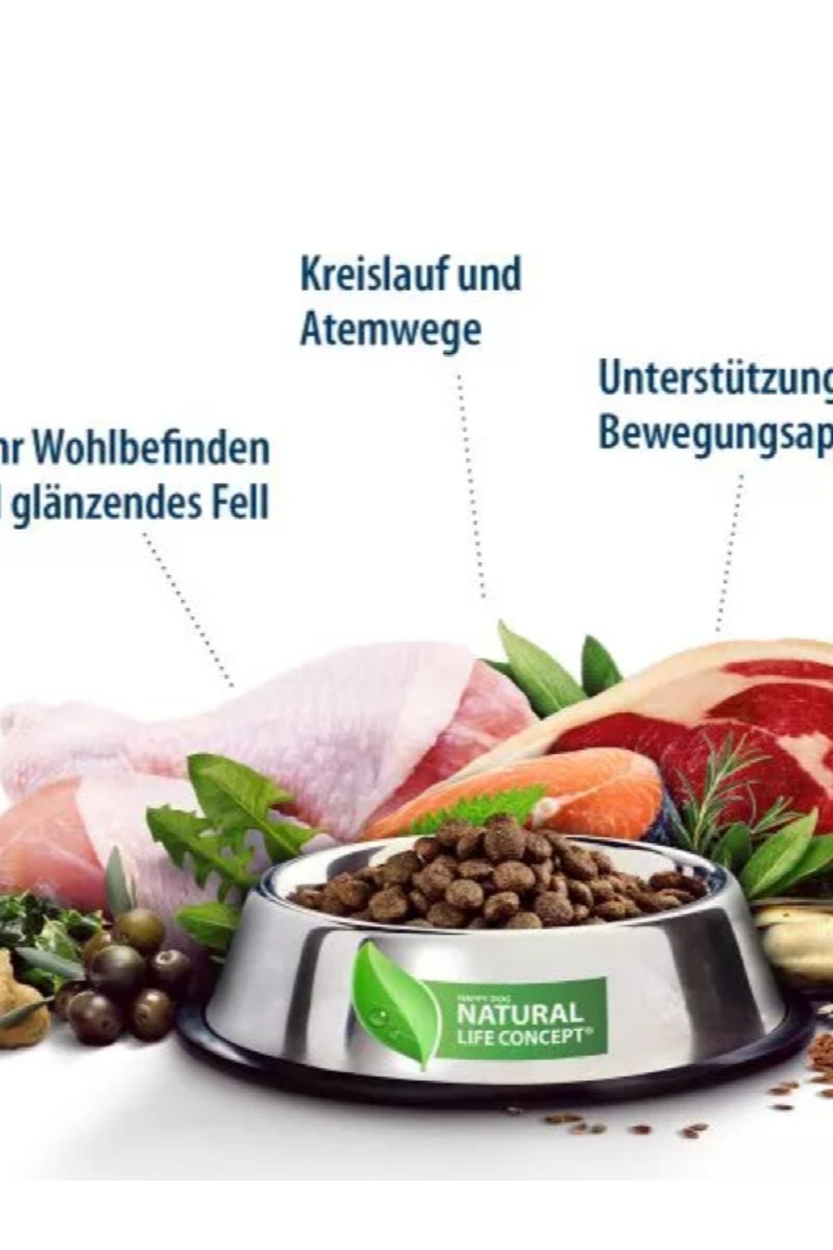 Happy Dog Naturcroq Somonlu Mini Irk Yetişkin Köpek Kuru Maması 4 kg