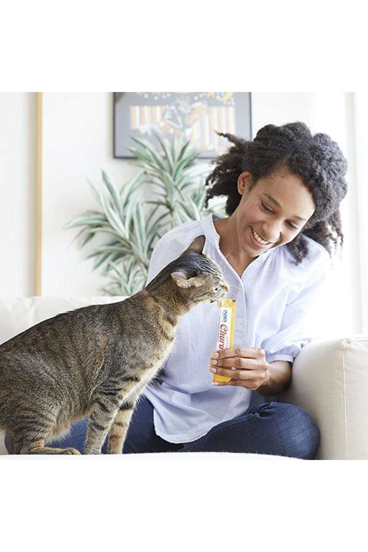 Inaba Churu Tavuklu ve Deniz Taraklı Yetişkin Kedi Krama Ödül Maması 4X14 gr