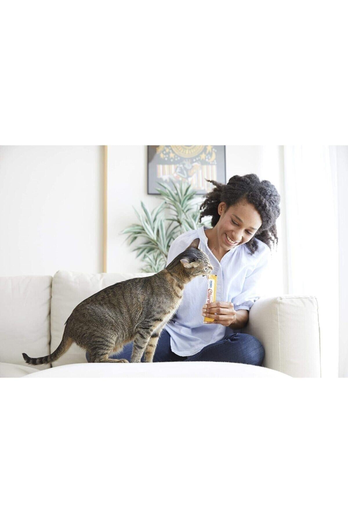 Inaba Churu Ton Balıklı ve Somonlu Yetişkin Kedi Krama Ödül Maması 4X14 gr