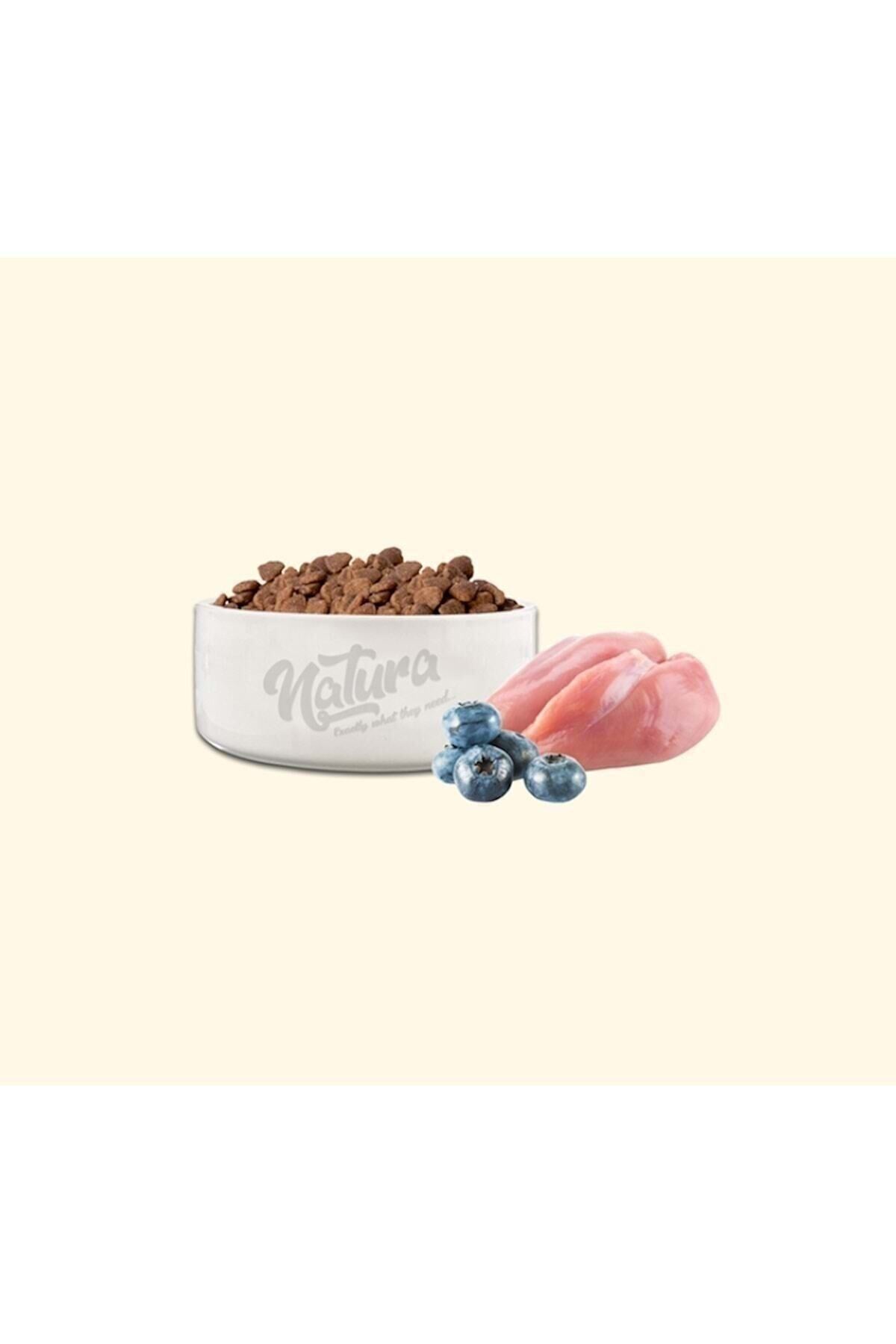 Natura Düşük Tahıllı Tavuklu Indoor Hairball Yetişkin Kedi Kuru Maması 2 kg