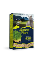 Nature Plan Kedi Çimi 500 ml