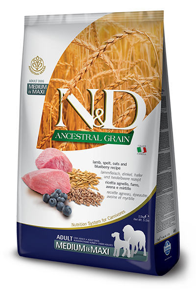 N&D A.Grain Düşük Tahıllı Kuzulu ve Yaban Mersinli Orta ve Büyük Irk Yetişkin Köpek Kuru Maması 12 kg