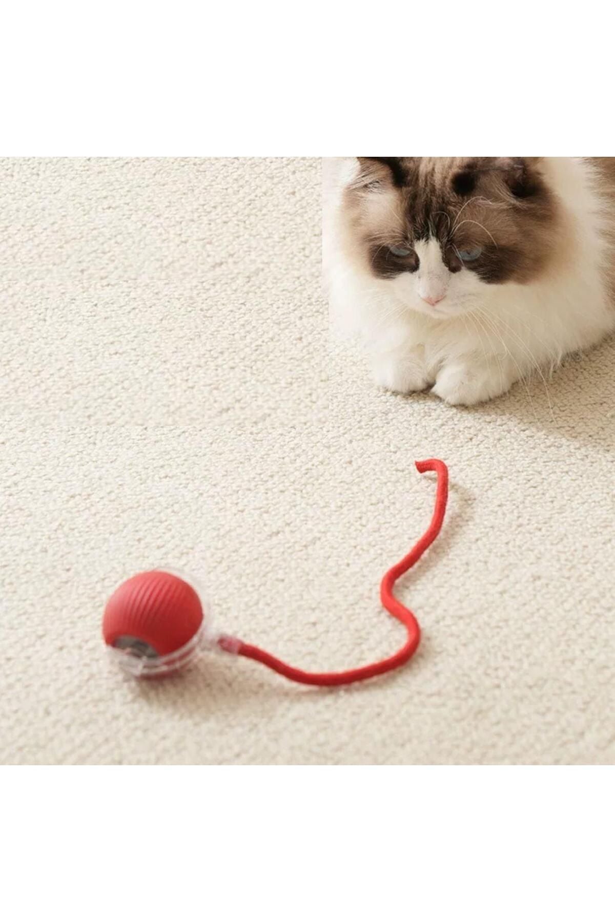 İnteraktif Hareketli Şarjlı İpli Kedi & Köpek Top Oyuncak