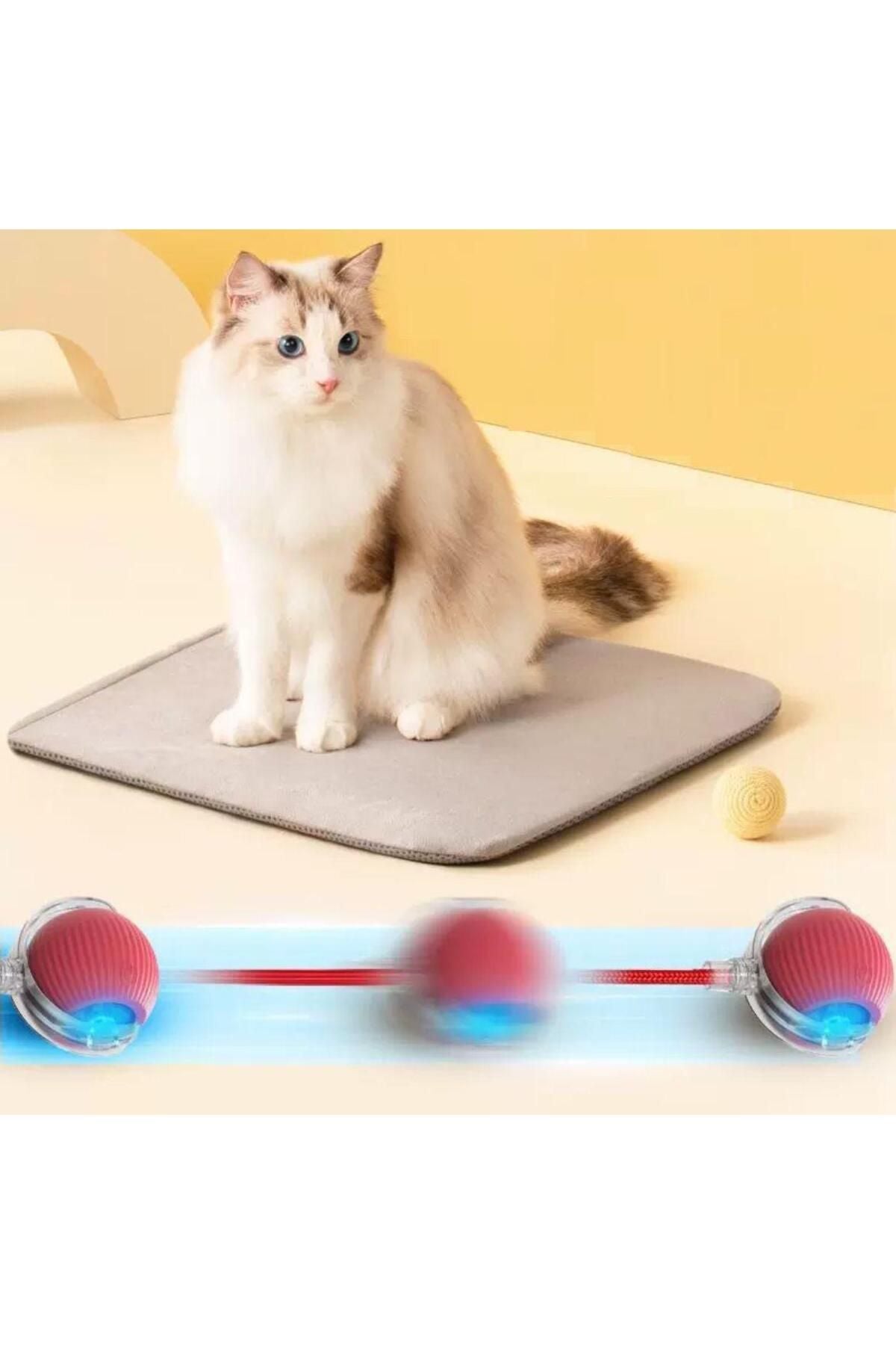 İnteraktif Hareketli Şarjlı İpli Kedi & Köpek Top Oyuncak