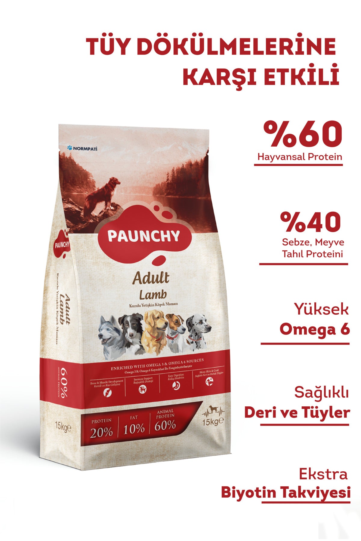 Paunchy Kuzulu Yetişkin Köpek Kuru Maması 15 kg
