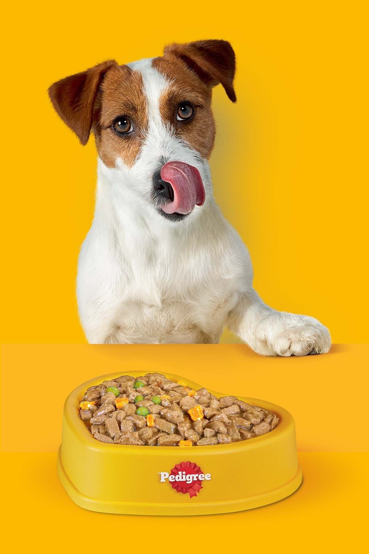 Pedigree Kümes Hayvanlı ve Sebzeli Yavru Köpek Kuru Maması 3 kg (Yeni)
