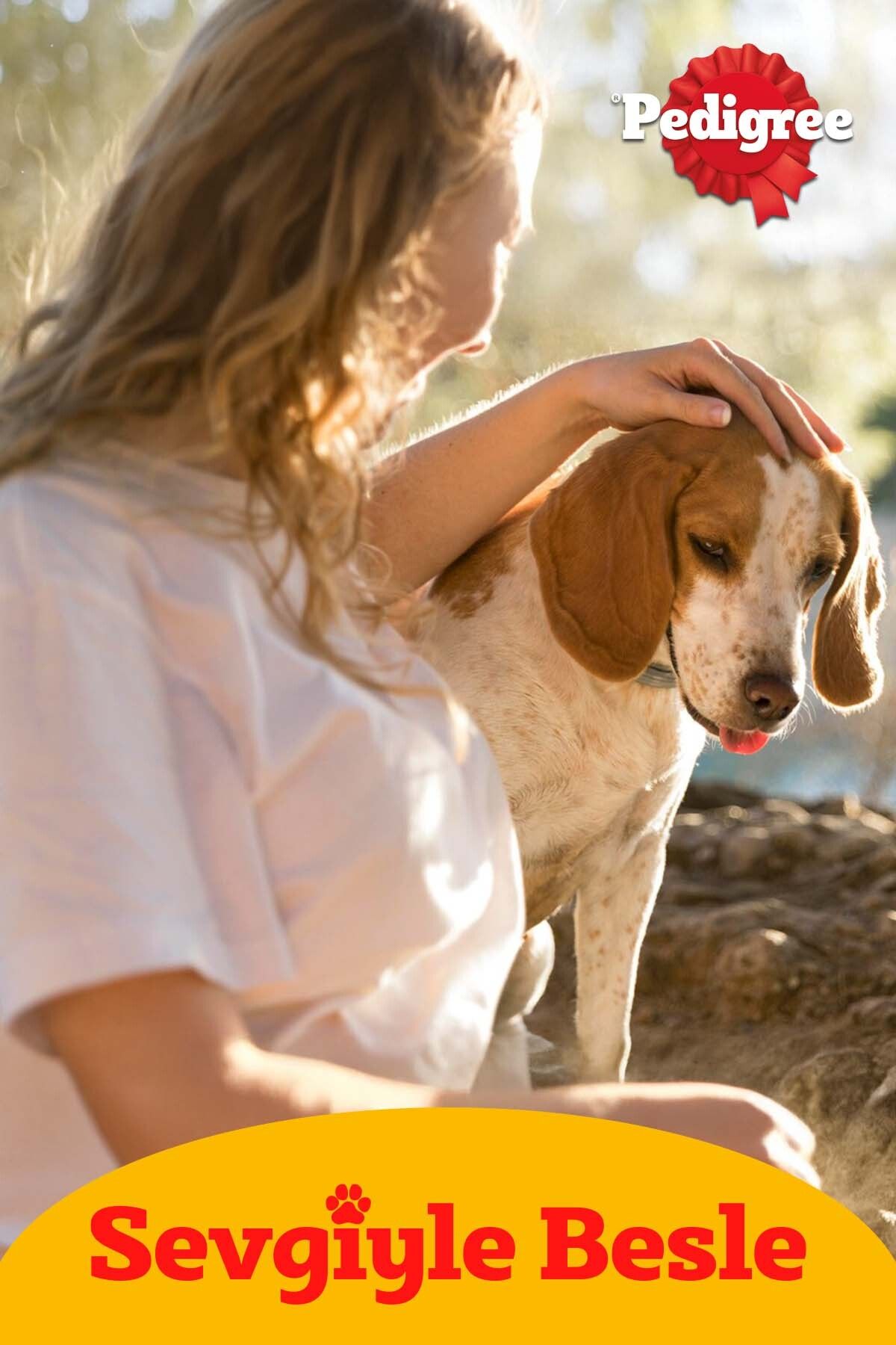 Pedigree Kümes Hayvanlı ve Sebzeli Yavru Köpek Kuru Maması 3 kg (Yeni)