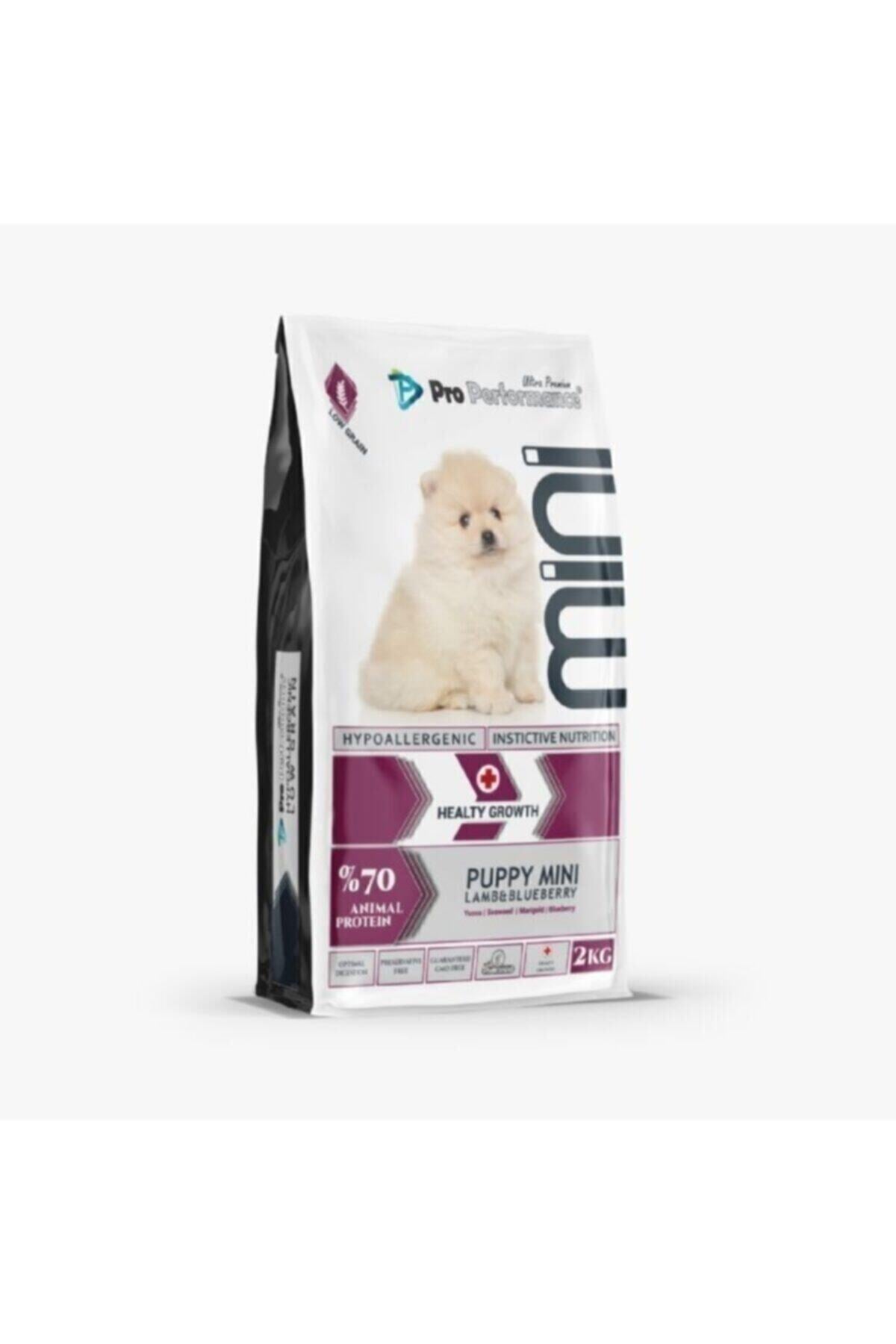 Pro Performance Kuzulu ve Yaban Mersinli Mini Irk Yavru Köpek Kuru Maması 2 kg