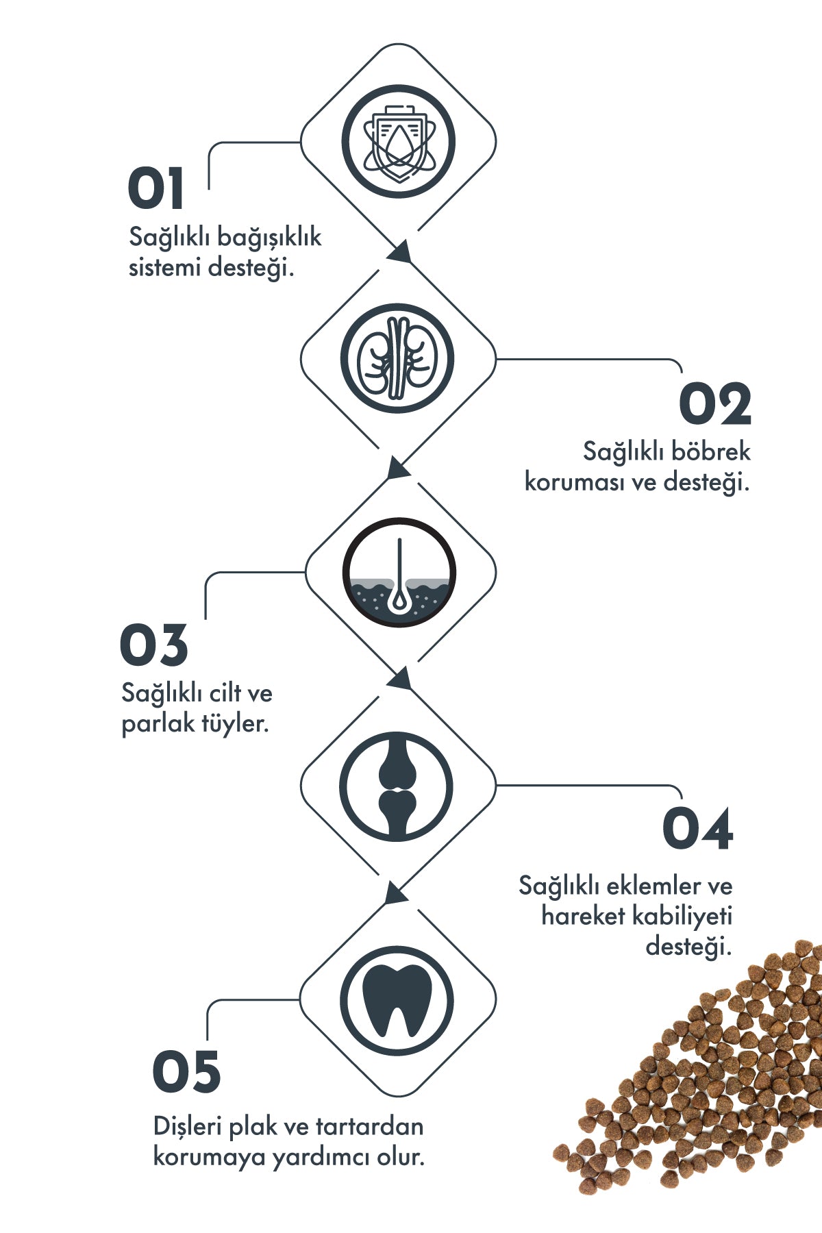 Pro Performance Somonlu ve Yaban Mersinli Mini Irk Yetişkin Köpek Kuru Maması 7 kg