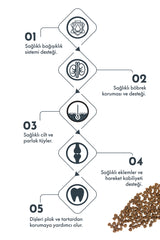 Pro Performance Somonlu ve Yaban Mersinli Mini Irk Yetişkin Köpek Kuru Maması 7 kg