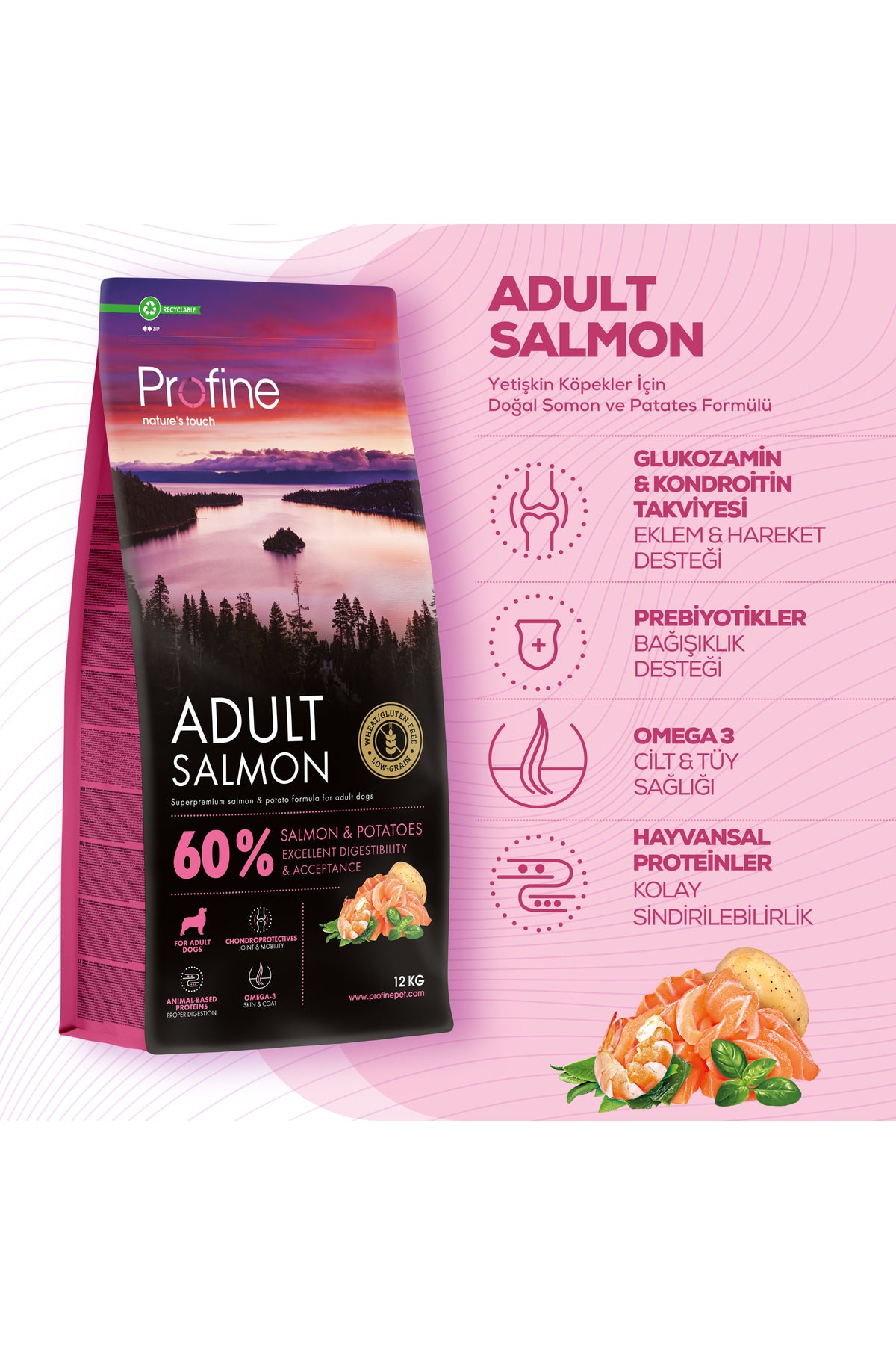 Profine Somonlu Glutensiz Yetişkin Köpek Kuru Maması 12 kg