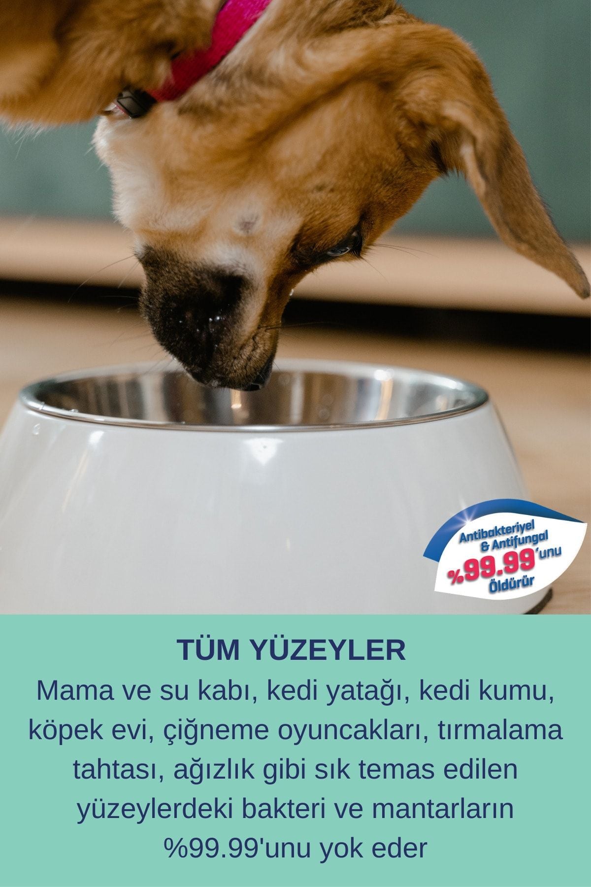 Resteril Kedi ve Köpekler için Koku ve Alerjen Giderici Hijyen Spreyi 200 ml