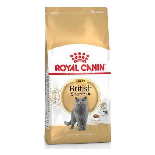 Royal Canin British Shorthair Özel Irk Yetişkin Kedi Kuru Maması 10 kg