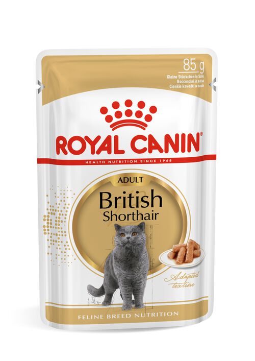 Royal Canin British Shorthair Özel Irk Yetişkin Kedi Yaş Maması 12X85 gr