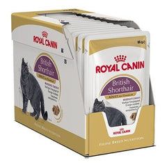 Royal Canin British Shorthair Özel Irk Yetişkin Kedi Yaş Maması 12X85 gr