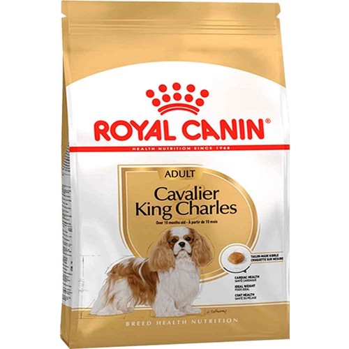 Royal Canin Cavalier King Charles Özel Irk Yetişkin Köpek Kuru Maması 1,5 kg