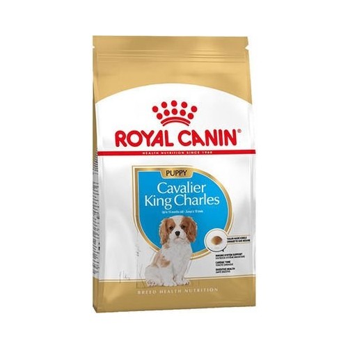 Royal Canin Cavalier King Charles Özel Irk Yavru Köpek Kuru Maması 1,5 kg