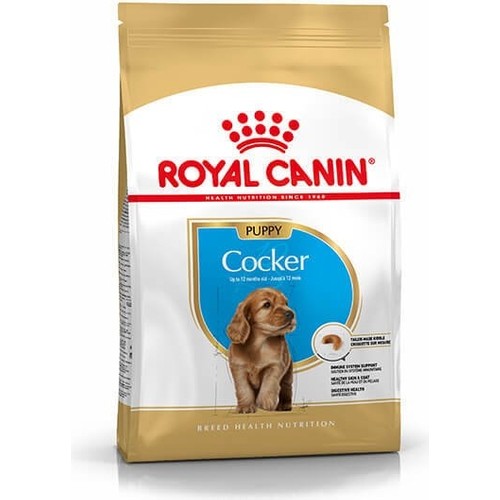 Royal Canin Cocker Özel Irk Yavru Köpek Kuru Maması 3 kg