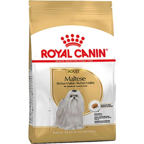 Royal Canin Maltese Terrier Özel Irk Yetişkin Köpek Kuru Maması 1,5 kg