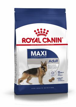 Royal Canin Maxi Adult Büyük Irk Köpek Kuru Maması 15 kg