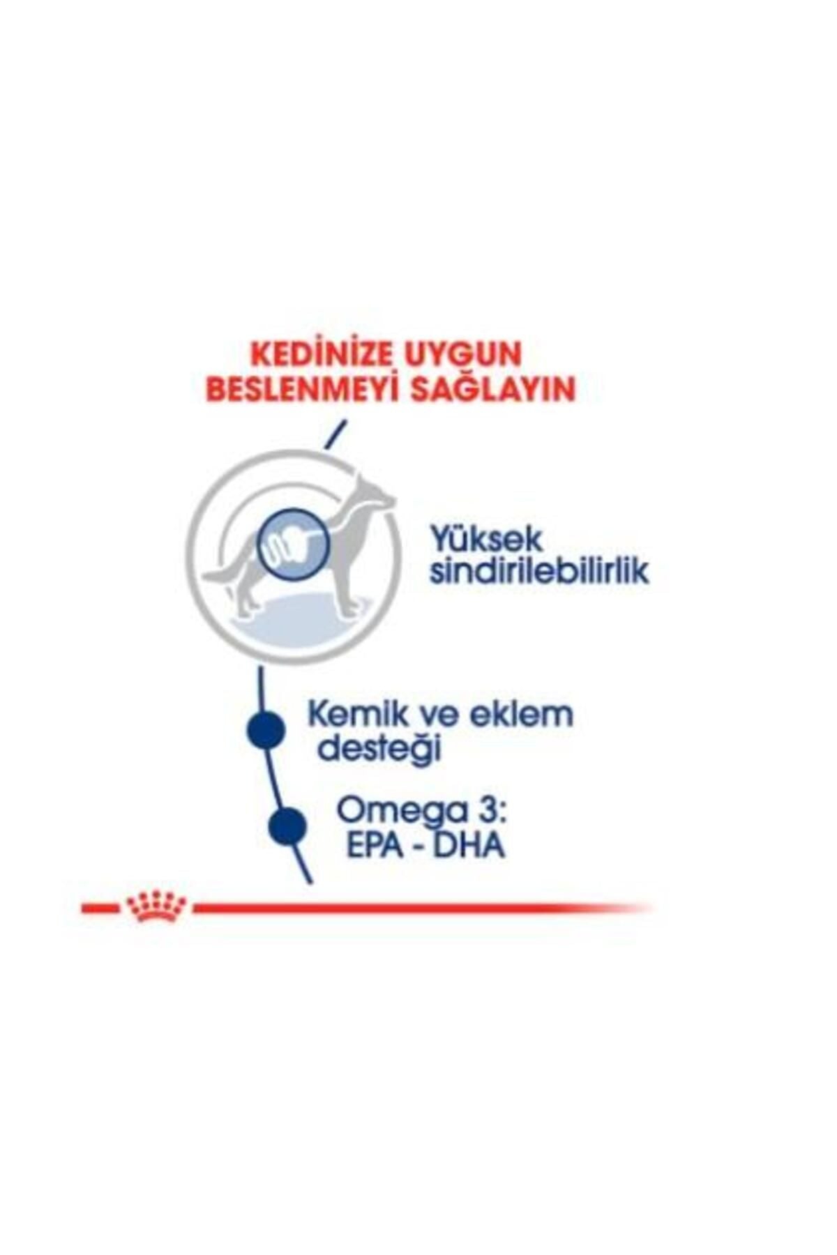 Royal Canin Maxi Yetişkin Köpek Yaş Maması 140 gr