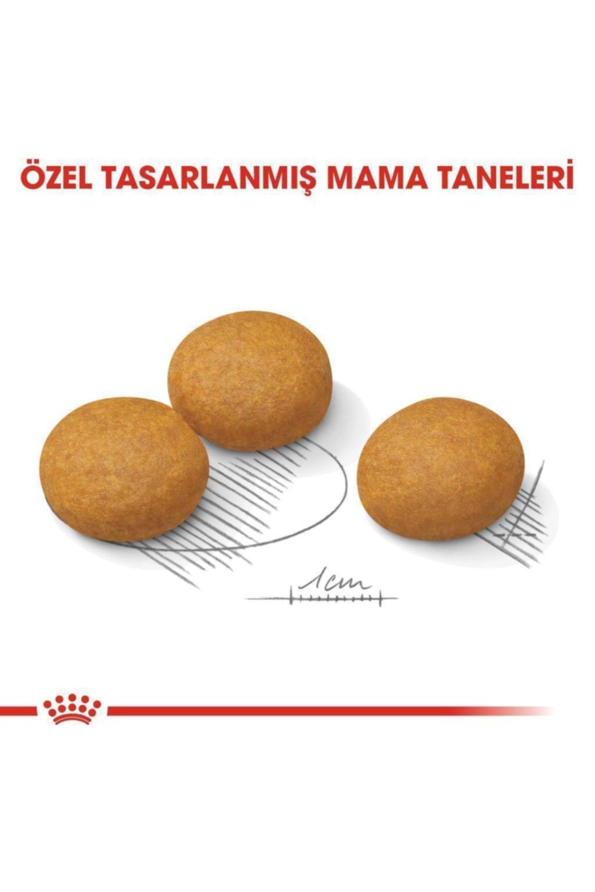 Royal Canin Medium Dermacomfort Orta Irk Yetişkin Köpek Kuru Maması 12 kg