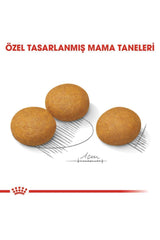 Royal Canin Medium Dermacomfort Orta Irk Yetişkin Köpek Kuru Maması 12 kg