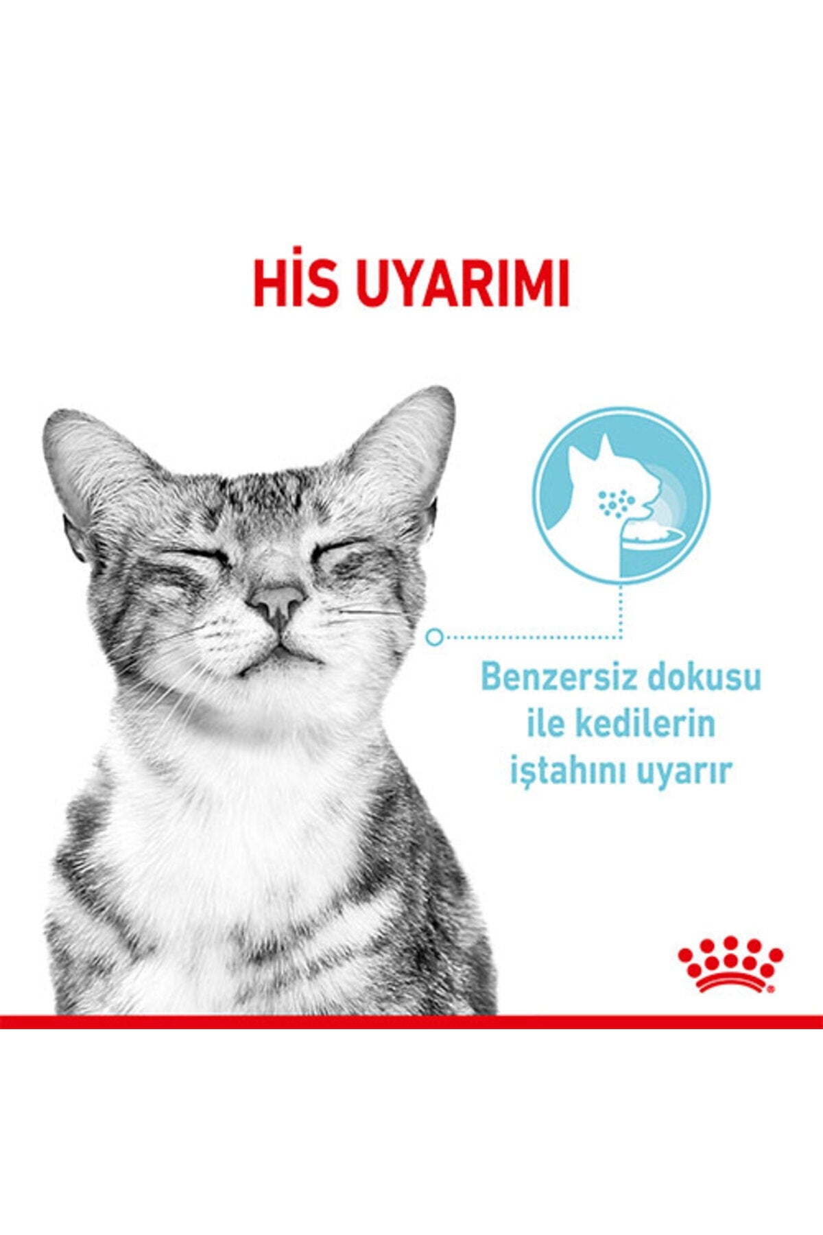 Royal Canin Sensory Feel Gravy Yetişkin Kedi Yaş Maması 85 gr