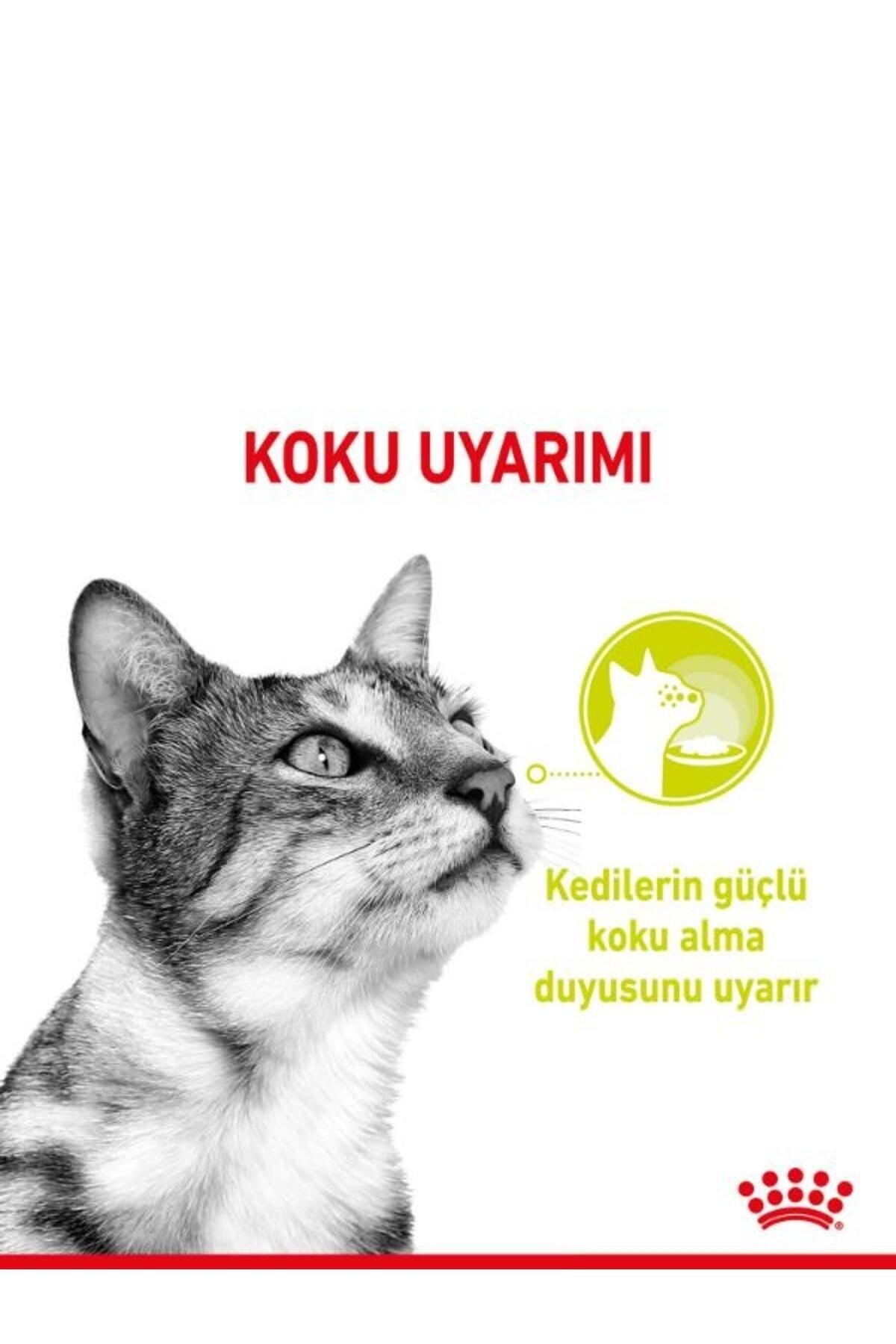 Royal Canin Sensory Smell Gravy Yetişkin Kedi Yaş Maması 12X85 gr