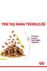 Royal Canin Sensory Smell Gravy Yetişkin Kedi Yaş Maması 12X85 gr