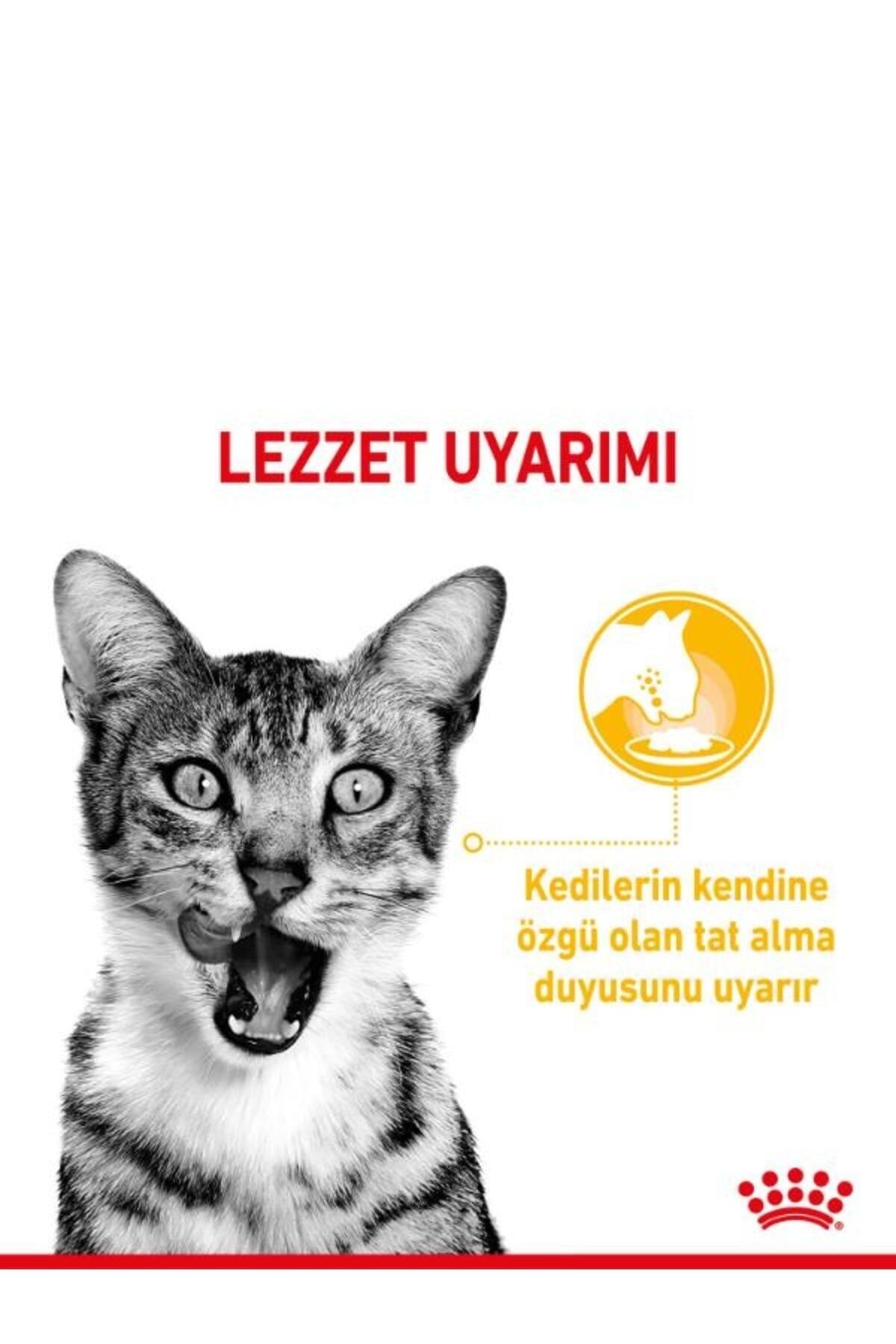 Royal Canin Sensory Taste Gravy Yetişkin Kedi Yaş Maması 12X85 gr