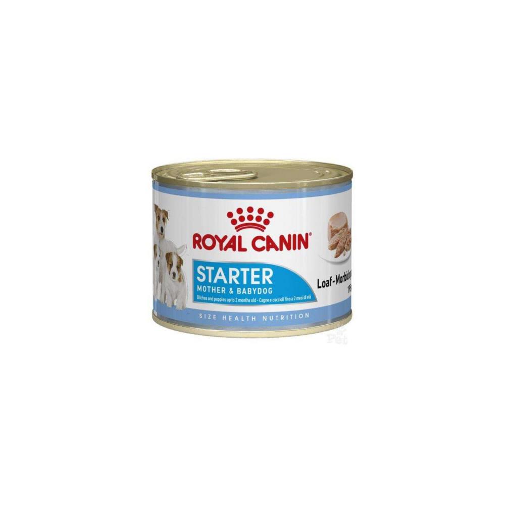 Royal Canin Starter Mousse Anne ve Yavru Köpek Konserve Yaş Maması 195 gr