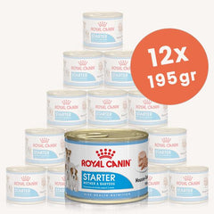 Royal Canin Starter Mousse Anne ve Yavru Köpek Konserve Yaş Maması 12X195 gr