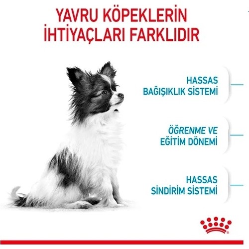 Royal Canin X-Small Mini Irk Yavru Köpek Kuru Maması 3 kg