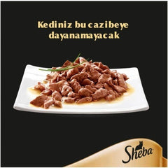 Sheba Hindili Yetişkin Kedi Yaş Maması 24 X 85 gr