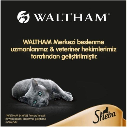 Sheba Hindili Yetişkin Kedi Yaş Maması 24 X 85 gr