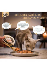 Sheba Mini Tavuklu ve Somonlu Yetişkin Kedi Yaş Maması 6 X 50 gr